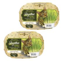 Kit 2 Graminha Para Gatos Green Digestiva Grass Ipet 50g Kit 2 Graminha Para Gatos Green Digestiva Grass Ipet 50g