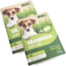 Kit 2 Graminhas Grama Para Cães Cachorro Comestível Auxilia na Digestão e Intestino Zoe Pet
