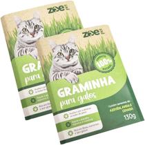 Kit 2 Graminhas Grama Para Gatos Comestível Auxilia na Digestão e Eliminação De Pelos Zoe Pet Kit 2 Graminhas Grama Para Gatos Comestível Auxilia na Digestão e Eliminação De Pelos Zoe Pet