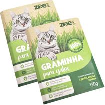 Kit 2 Graminhas Grama Para Gatos Comestível Auxilia na Digestão e Eliminação De Pelos Zoe Pet