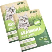 Kit 2 Graminhas Grama Para Gatos Comestível Auxilia na Digestão e Eliminação De Pelos Zoe Pet Kit 2 Graminhas Grama Para Gatos Comestível Auxilia na Digestão e Eliminação De Pelos Zoe Pet