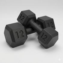 Kit 2 halteres sextavados 12kg fitness musculacao treino pintado para academia alta durabilidade profissional residencial uso domestico e profissional Kit 2 halteres sextavados 12kg fitness musculacao treino pintado para academia alta durabilidade profissional residencial uso domestico e profissional