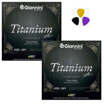Kit 2 Jogo Corda Violão Nylon Média Giannini Titanium + Palh