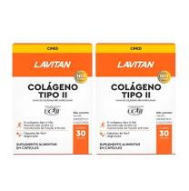 Kit 2 Lavitan Colágeno Tipo II Não Hidrolisado 30 Cápsulas