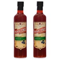 Kit 2 Licores Jabuticaba Paratiense 500 ml Coquetéis Exótimos Cachaça Lembrancinha Presente Presenteável