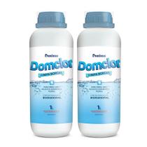 Kit 2 Limpa Bordas Tratamento Piscina 1L - Domclor Kit 2 Limpa Bordas Tratamento Piscina 1L - Domclor