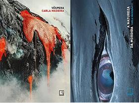 KIT 2 LIVROS Carla Madeira Véspera + A natureza da mordida