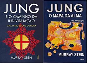 kit 2 livros Jung e o Caminho da Individuação + O Mapa da Alma