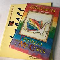Kit 2 Livros Pipistrelo das mil cores e Os Quadros de Chagall - Companhia das Letrinhas