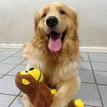 Kit 2 Macacos Brinquedo Mordedor Pets c/ Som Apito Pelúcia Algodão Poliéster Macaquinho Napi p/ Cachorros Cães Gatos Animais Casa