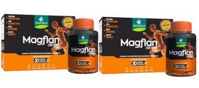 Kit 2 Magflan Curcumina, Quelato Mag, Colageno Tipo 2 30 cap