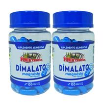 Kit 2 Malato de Magnésio 500mg 100 Cápsulas - Rei Terra