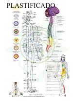 Kit 2 Mapas Meridianos Dos Chakras Principais Pontos Tamanho Grande A3 29 X 41 Cm