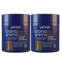 Kit 2 Mascara Cronograma Capilar 3 Em 1 Todos Os Tipos De Cabelo Vegano Yenzah 480g