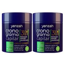 Kit 2 Mascara Cronograma Capilar 3 Em 1 Tratamento Cabelos Cacheados Vegano Yenzah 480g