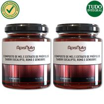 Kit 2 Mel Composto Própolis e Eucalipto 300g Kit 2 Mel Composto Própolis e Eucalipto 300g