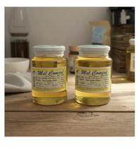 Kit 2 Mel de Jataí Puro 800 ml