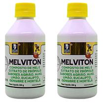 Kit 2 Melviton Composto De Mel E Especiarias 250g