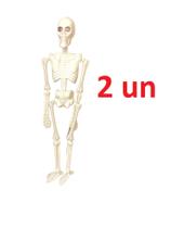 Kit 2 Mini Esqueleto Humano Articulado 40 cm Brinquedo Kit 2 Mini Esqueleto Humano Articulado 40 cm Brinquedo