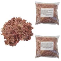 Kit 2 Musgos Sphagnum 5 Litros Substrato P/ Plantas Orquídea Kit 2 Musgos Sphagnum 5 Litros Substrato P/ Plantas Orquídea