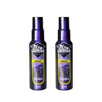 Kit 2 Odorizante Aromatizador Auto Spray Coala Lavanda 60ml