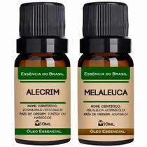 Kit 2 Óleos Essenciais 10ml - Alecrim + Melaleuca Kit 2 Óleos Essenciais 10ml - Alecrim + Melaleuca