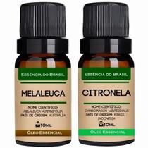 Kit 2 Óleos Essenciais 10ml - Melaleuca + Citronela Kit 2 Óleos Essenciais 10ml - Melaleuca + Citronela