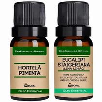 Kit 2 Óleos Essenciais 10ml - Menta Piperita + Eucalipto Kit 2 Óleos Essenciais 10ml - Menta Piperita + Eucalipto
