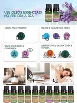 Kit 2 Óleos Essenciais 20Ml - Lavandin Grosso + Poejo - Puro