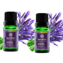 Kit 2 Óleos Lavanda Francesa 100% Puro 10ml Terra Flor Kit 2 Óleos Lavanda Francesa 100% Puro 10ml Terra Flor