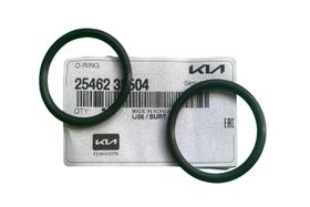 Kit 2 Oring Tubo de Água Azera 2006 a 2010 Original Kit 2 Oring Tubo de Água Azera 2006 a 2010 Original