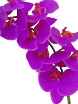 Kit 2 orquídeas Pink em silicone Toque Real - Decora Flores Artificiais