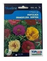 Kit 2 Pacotes Sementes Flor Onze Horas Portulacas Dobradas Topseed Jardins