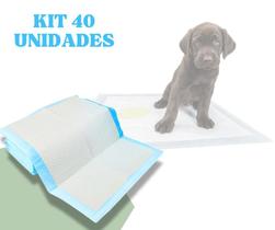 Kit 2 Pacotes Tapete Higiênico Descartável Para Pet Cães E Gatos 40un 33 X 45cm