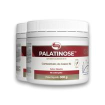 Kit 2 Palatinose Vegano Vitafor 300g Neutro