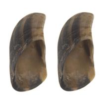 Kit 2 Petisco Natural Casco Bovino Mastig Para Cães