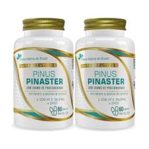 Kit 2 Pinus Pinaster com Vitamina E Selênio e Zinco 60 Cápsulas Flora Nativa Kit 2 Pinus Pinaster com Vitamina E Selênio e Zinco 60 Cápsulas Flora Nativa