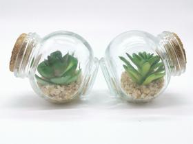 Kit 2 Plantas Mini Suculentas Artificiais Potinho De Vidro