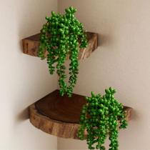 Kit 2 Plantas Pendentes Artificiais Silicone Suculentas Decorativas 35cm