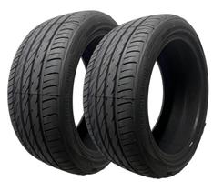 Kit 2 Pneus Delmax Aro 17 245/45R17 99W XL PERFORMPRO