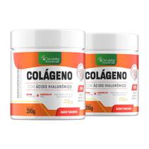 Kit 2 Pote de Colágeno Verisol Hidrolisado Com Ácido Hialurônico, Coenzima Q10, Biotina 216g Denavita