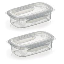 Kit 2 Potes Alimentos 270 ML Com Tampa e Travas Transparente