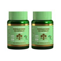 Kit 2 Própolis Verde 80% Wax Green 100 Cápsulas 300Mg