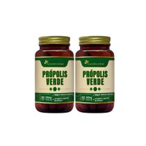 Kit 2 Própolis Verde Extrato Seco 500mg 2x60 cps Flora Nativa