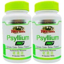Kit 2 Psyllium Pro Mais Psyllium + Quitosana + Cromo + Biotina + Vitamina C 120 Cápsulas - Rei Terra