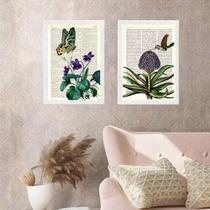 Kit 2 Quadros Beija-Flor e Borboleta Vintage 33x24cm Kit 2 Quadros Beija-Flor e Borboleta Vintage 33x24cm