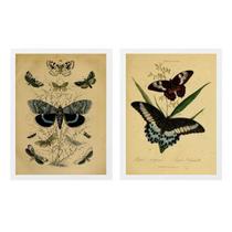 Kit 2 Quadros Borboletas Retrô 24x18cm