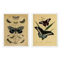 Kit 2 Quadros Borboletas Retrô 33X24Cm