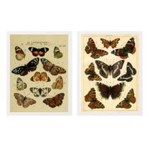 Kit 2 Quadros Borboletas Vintage 33x24cm