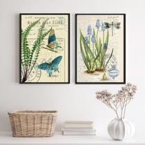Kit 2 Quadros Botânica Vintage Borboletas Libélula 33x24cm - com vidro Kit 2 Quadros Botânica Vintage Borboletas Libélula 33x24cm - com vidro